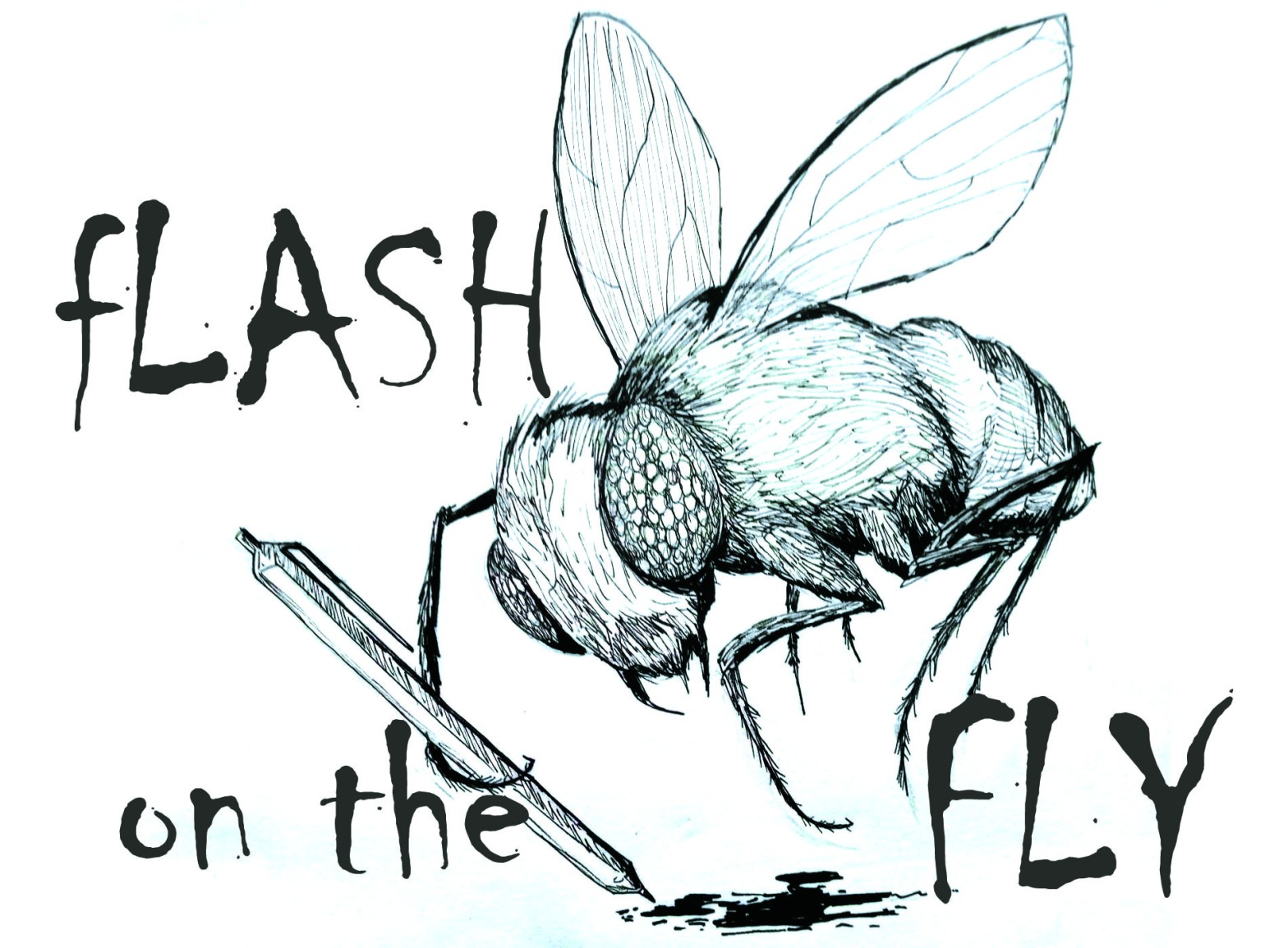 FLASH ON THE FLY 48-HR WINDOW CLOSED